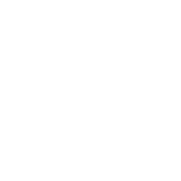 ce logo Chicopee